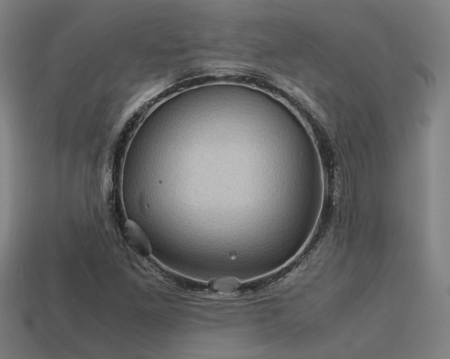 X0000113591261200909251128