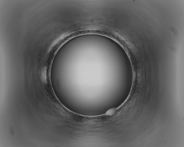 X0000113591262200909251128