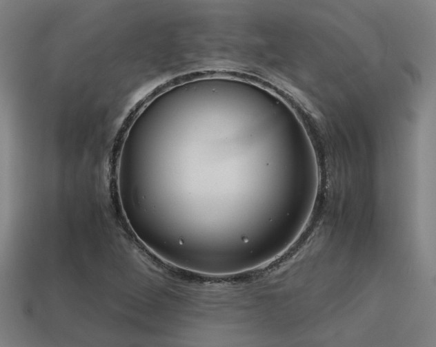 X0000113591264200909251128