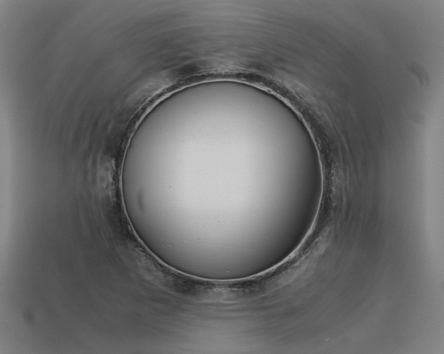 X0000113591265200909251128