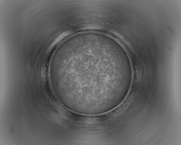 X0000113591266200909251128