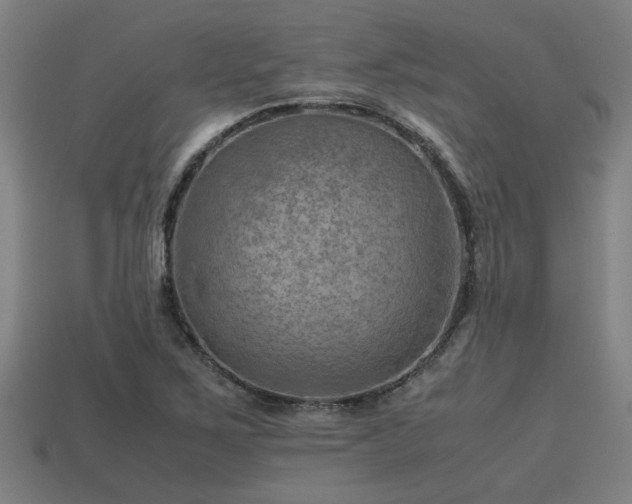 X0000113591267200909251128