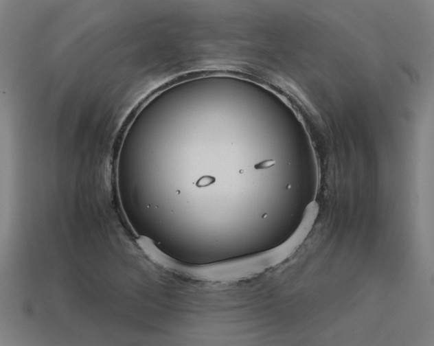 X0000113591268200909251128