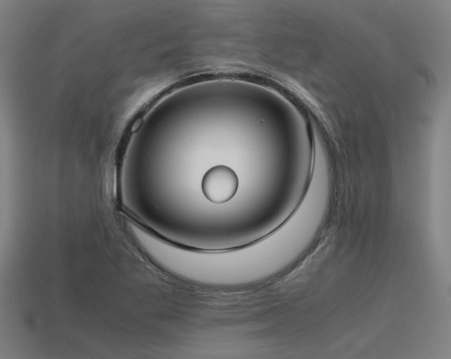 X0000113591269200909251128