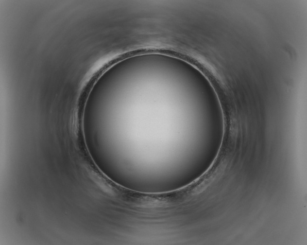 X0000113591270200909251128