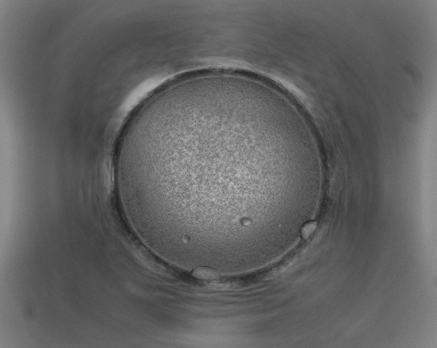 X0000113591271200909251128