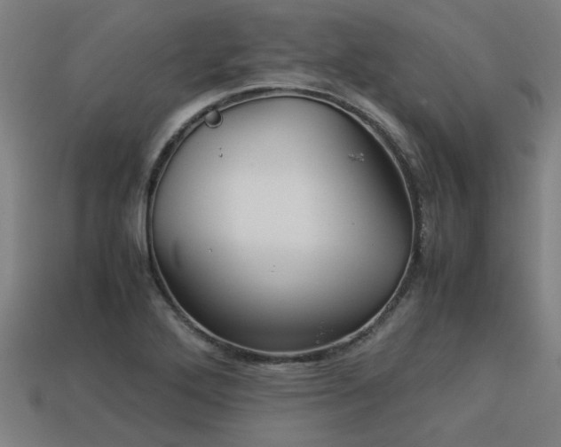 X0000113591272200909251128