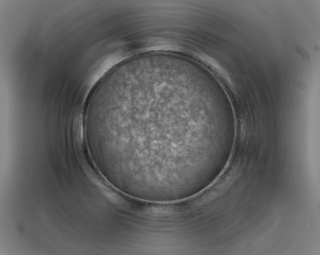 X0000113591274200909251128