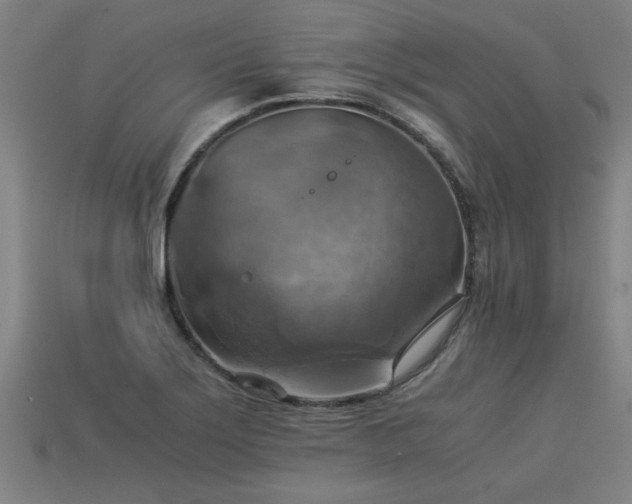 X0000113591275200909251128