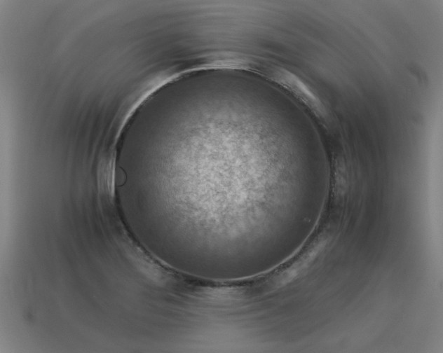 X0000113591276200909251128