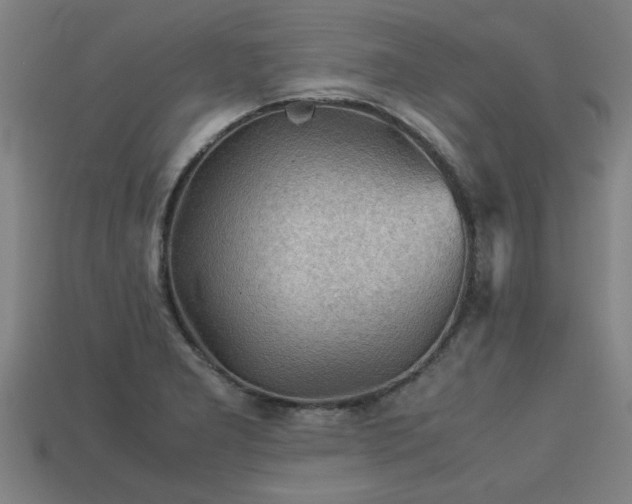 X0000113591277200909251128