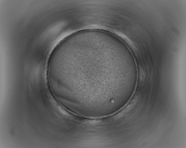 X0000113591278200909251128