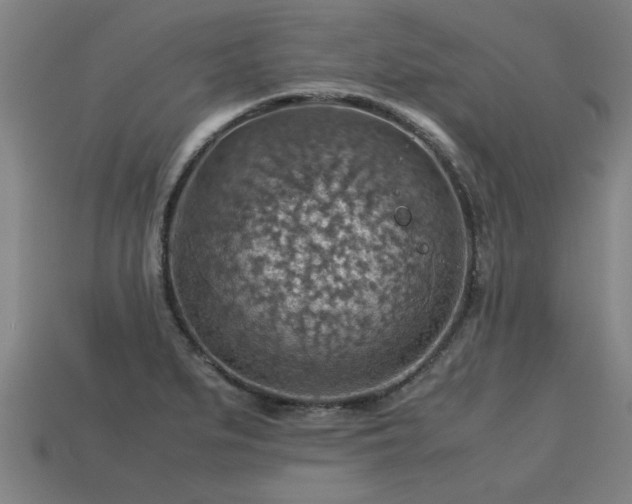 X0000113591279200909251128