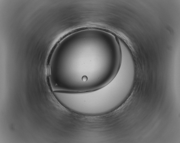 X0000113591280200909251128