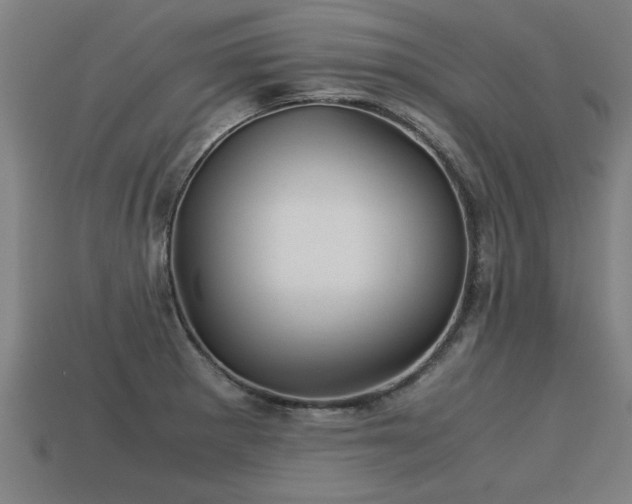 X0000113591281200909251128