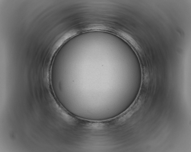 X0000113591282200909251128