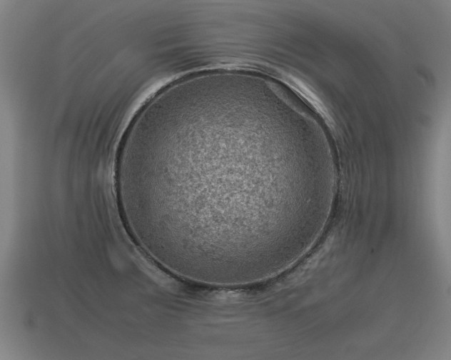 X0000113591283200909251128