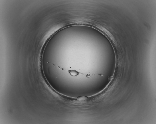 X0000113591285200909251128