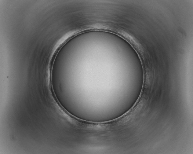 X0000113591286200909251128