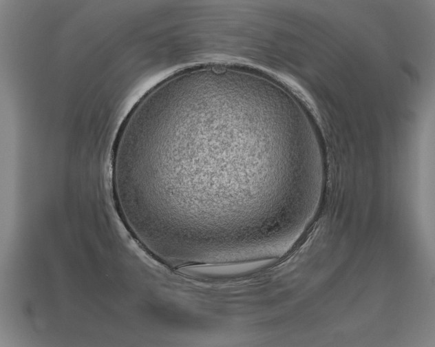 X0000113591287200909251128