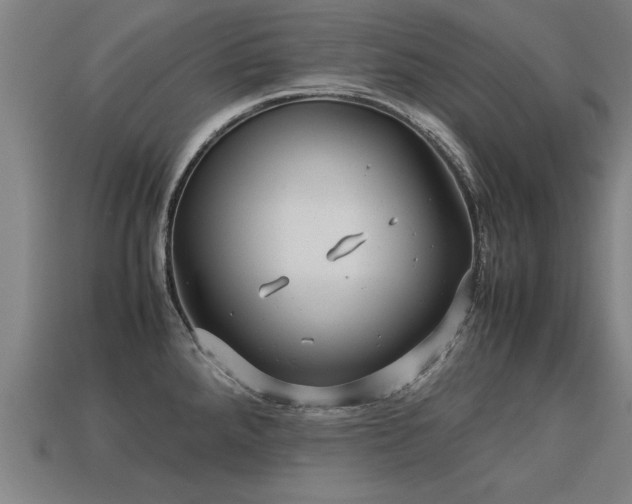 X0000113591288200909251128