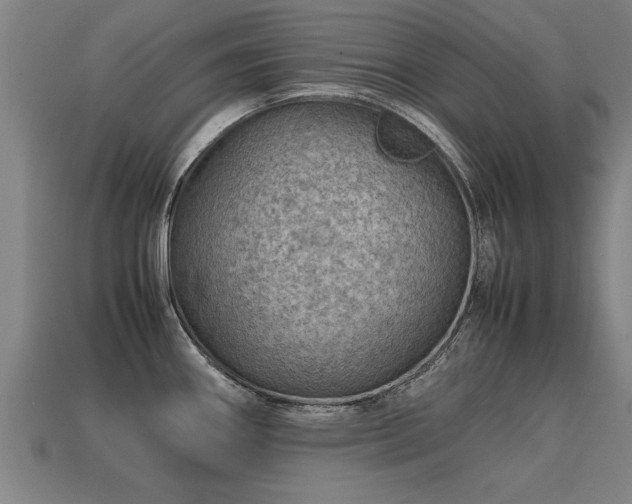 X0000113591290200909251128