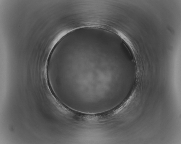 X0000113591291200909251128