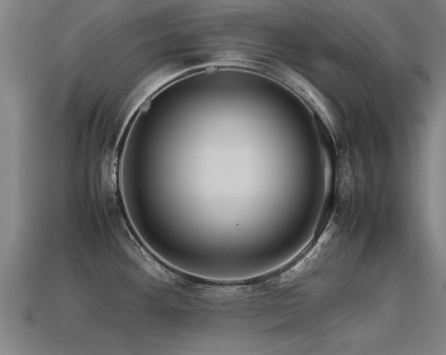 X0000113591292200909251128