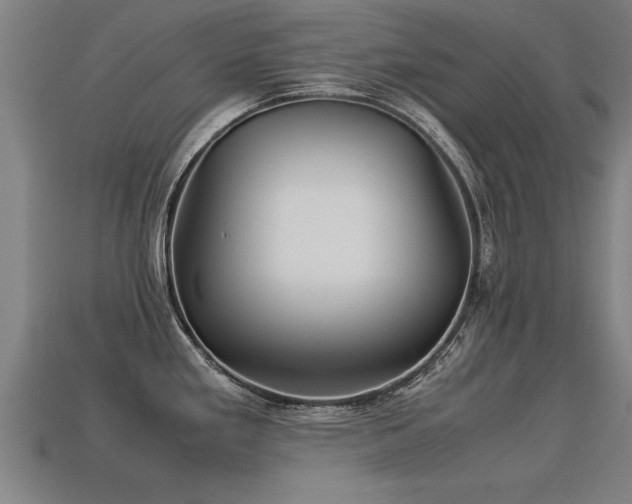 X0000113591293200909251128