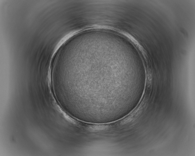 X0000113591294200909251128