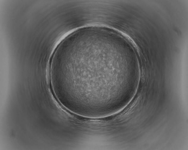 X0000113591295200909251128