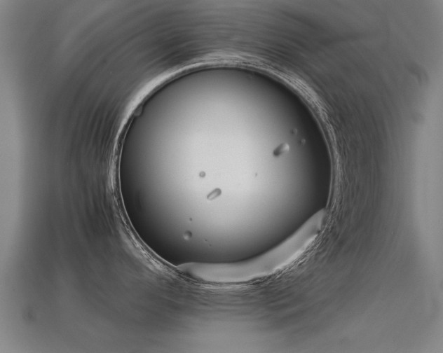 X0000113591296200909251128