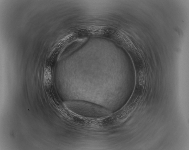 X0000113591298200909251127