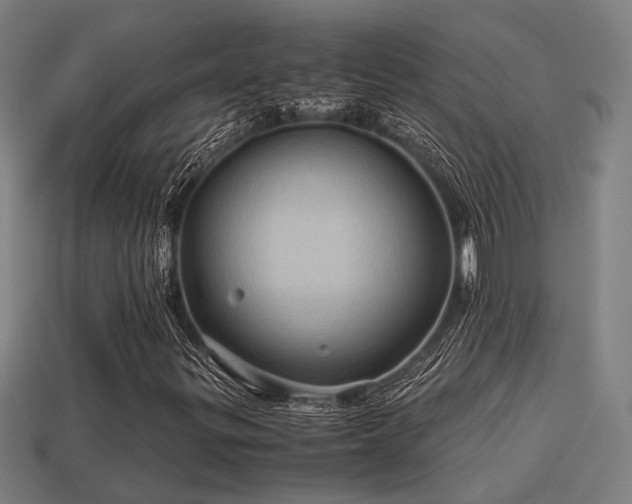 X0000113591299200909251127