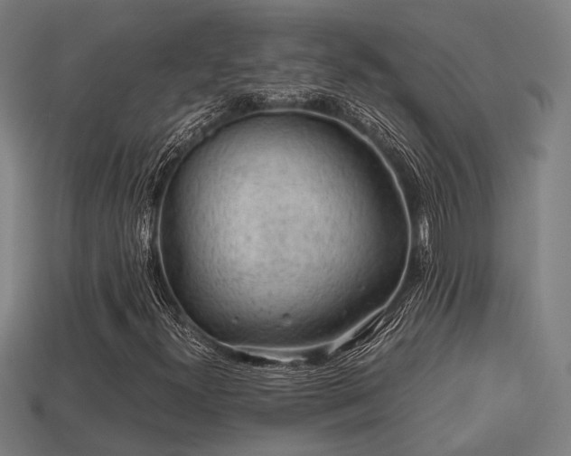 X0000113591300200909251127