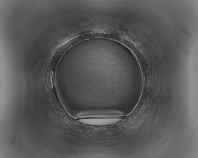 X0000113591303200909251127