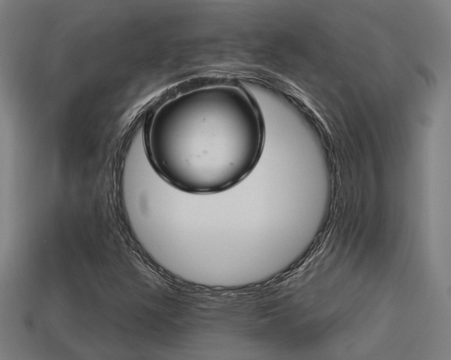 X0000113591304200909251127