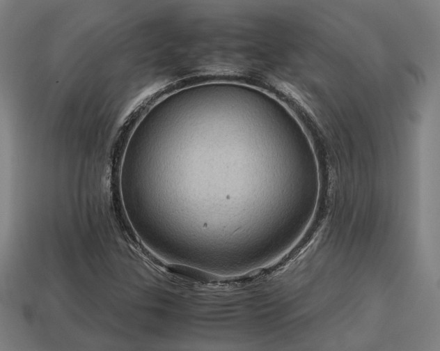 X0000113591307200909251127