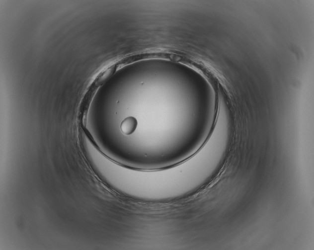 X0000113591308200909251127