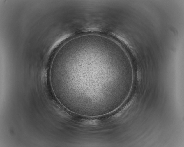 X0000113591309200909251127