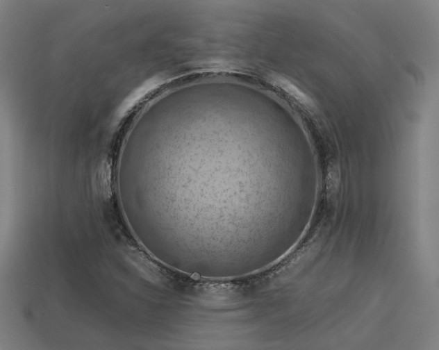 X0000113591310200909251127