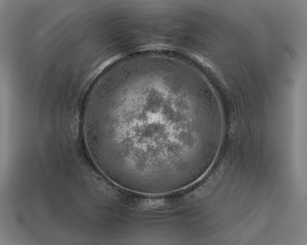 X0000113591313200909251127