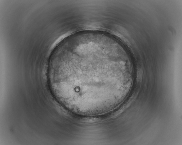 X0000113591314200909251127