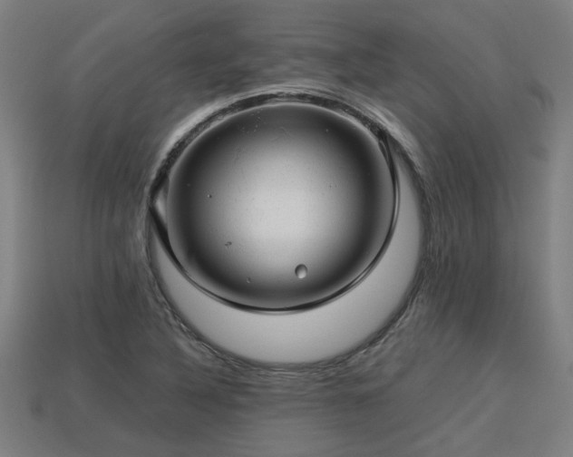 X0000113591316200909251128