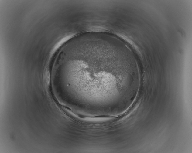 X0000113591317200909251128