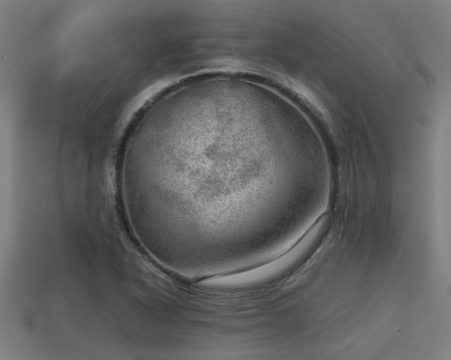 X0000113591318200909251128