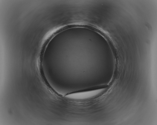 X0000113591319200909251128