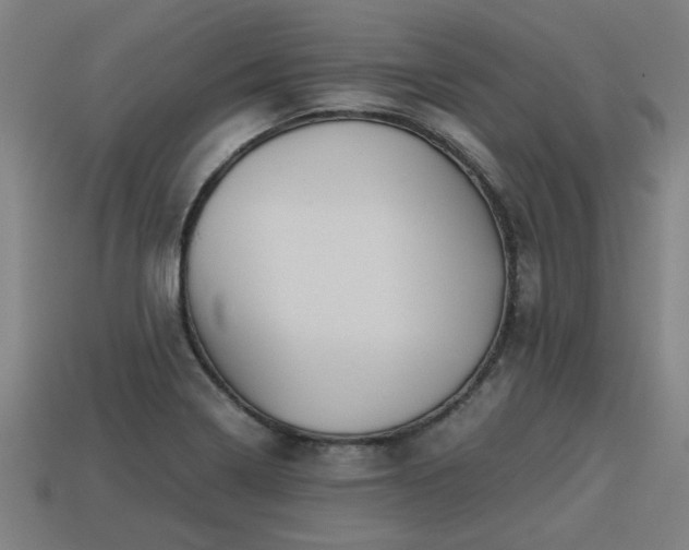 X0000113591322200909251128