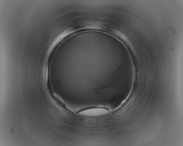 X0000113591323200909251128