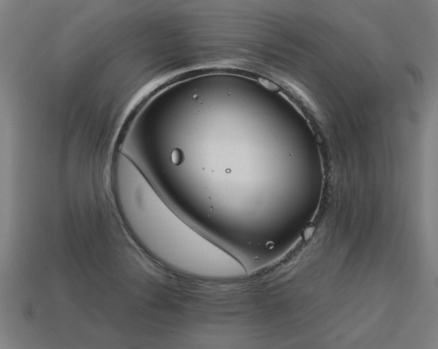 X0000113591324200909251128